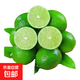 正宗塔希提無籽青檸檬香水檸檬薄皮小青檸奶茶店飲品搭檔 5斤