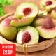 【當季鮮果】新鮮正宗青州蜜桃脆甜脆桃硬桃秋桃毛桃-于甄鮮 凈重4.5斤大果精選裝