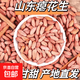 當季新貨癟花生養(yǎng)胃生花生米小粒農(nóng)家山東花生仁生吃甘甜零食 當季癟花生米（生米） 2斤