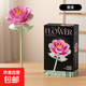 兼容樂(lè )高積木花玫瑰百合玩具小顆粒拼圖插搭模型可愛(ài)禮物 薔薇花枝54PCS彩盒裝