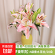 香水百合花鮮花新鮮現采云南基地直發(fā)昆明水養鮮切花水培花卉批發(fā) 高品質(zhì)【A級羅曼蒂克】香水百合20朵+新鮮