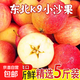 正宗東北沙果 K9小蘋果當(dāng)季新果海棠果京東快遞送貨上門 5斤