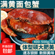 滿黃大面包蟹帝王蟹鮮活熟凍大螃蟹海蟹新鮮海鮮水產(chǎn)黃金蟹珍寶蟹 【1只】滿黃面包蟹 滿黃【400-500g/只】