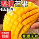 京喜加云南玉芒大青皮芒果新鮮應季水果 帶箱4斤單果200g+