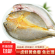 京喜加大黃魚鲞1.2斤/條 三去大黃魚冷凍深海新鮮捕撈黃花魚 黃魚鲞600g*3條【推薦】