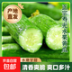 正宗壽光水果黃瓜無(wú)刺小黃瓜蔬菜生吃沙拉脆甜減脂低卡源頭直發(fā) 清甜水果黃瓜 斤 8斤 （囤貨）