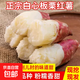 正宗爆皮王白心板栗紅薯牛奶紅薯農家老品種新鮮早餐地瓜生鮮蔬菜 2斤含箱 中大果（3兩-8兩）