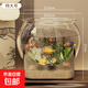 高透加厚魚(yú)缸 斗魚(yú)金魚(yú)缸帶底托一體型耐摔客廳懶人桌面生態(tài)缸 升級款超大號底座魚(yú)缸【高透/久用不糊】