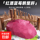 朗杰王子法式紅酒藍(lán)莓鵝肝整只刺身 秘制鵝肝冰鎮(zhèn)日料刺身入口即 紅酒藍(lán)莓肝500g*1