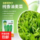 菠菜種子清香芥菜芝麻菜青麻葉白菜苦苣生菜栗南瓜農科院蔬菜籽孑 純香油麥菜 1克