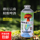 鬧江湖蘑幻云南蘑菇風(fēng)味見(jiàn)手青精釀啤酒牛肝菌苦蕎 750mL 4瓶 整箱裝