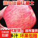 山東煙臺紅富士蘋(píng)果棲霞富士蘋(píng)果脆甜當季應季水果整箱 凈重4.5斤75mm