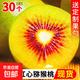 紅心獼猴桃奇異果四川蒲江產(chǎn)地直發(fā)京東物流 紅心20個(gè)大果（90-110g）
