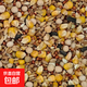 鴿糧大全幼鴿鴿糧營養(yǎng)鴿糧信鴿鴿子食糧飼料通用飼料 鴿糧5斤