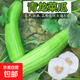青龍菜瓜種子脆瓜梢瓜種籽甜脆汁多味清香生食涼拌腌制水果種孑 青龍菜瓜種子/包約100粒 1包
