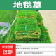 草坪真草帶土矮生馬尼拉草皮百慕大果嶺草耐寒四季常青庭院綠化苗 優(yōu)質(zhì)地毯草成品草皮1平方帶土 10cm以下