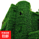 爬山虎樹(shù)苗爬藤植物庭院樓頂攀爬墻攀援綠植盆栽五葉地錦耐寒花卉 爬山虎2年苗10顆