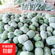 新鮮小冬瓜農家自種掛霜迷你水果冬瓜現摘現發(fā)新鮮蔬菜批發(fā)可煲湯 壽光冬瓜 2斤