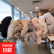 兒童發(fā)繩秋冬毛毛絨大腸發(fā)圈少女可愛(ài)加厚毛線(xiàn)發(fā)繩盤(pán)發(fā)丸子頭發(fā)飾 毛絨絨發(fā)圈【隨機1個(gè)裝】