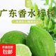 廣東香水檸檬新鮮檸檬茶生鮮鮮檸奶茶店專用檸檬水果箱裝包郵 單果80g+ 9斤