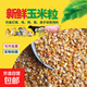 干玉米粒喂雞鴨鵝鳥(niǎo)鴿子食飼料釀酒打窩釣魚(yú)餌農家苞米粒黃玉米 10斤玉米粒