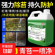 青苔清除劑水泥地面專用克星墻面房屋苔蘚藻類去除綠青苔清潔神器 10斤裝【專除青苔】（送工具）