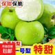 安徽正宗碭山梨青梨酥脆一號(hào)青皮蜜梨脆甜多汁無(wú)渣沐馳 3斤精選大果（凈果2.7斤以上）