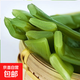 裙帶菜梗段片鹽漬半干海白菜非即食 裙帶菜蝦皮湯 火鍋食材 鹽漬裙帶梗5斤