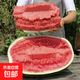 【石頭西瓜】硒砂瓜石縫瓜當季新鮮水果沙瓤西沙瓜 硒砂瓜10-12斤