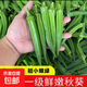 新鮮水果秋葵蔬菜新鮮現(xiàn)摘現(xiàn)發(fā)當(dāng)季蔬菜生鮮涼拌好物減肥瘦身 現(xiàn)摘水果秋葵 500g