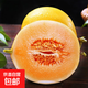 甘肅民勤沙漠蜜瓜新鮮采摘產(chǎn)地發(fā)貨 小果（單果≥500g）2斤凈重800g