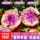冰淇淋紅薯新鮮一點(diǎn)紅紫薯蔬菜地瓜軟糯香甜健康代餐輔食現(xiàn)挖現(xiàn)發(fā) 冰淇淋小香薯（大果200g+） 3斤【推薦】