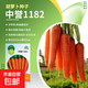 大白菜種子空心菜生菜奶油小白菜紅心胡蘿卜西葫蘆農(nóng)科院蔬菜籽孑 中譽(yù)1182胡蘿卜 1克