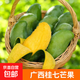 廣西百色桂七芒果 青皮甜心芒當(dāng)季新鮮水果整箱 桂七芒果8-9斤單果100g+