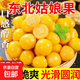 東北特產(chǎn)姑娘果新鮮現(xiàn)摘-山野 帶箱3斤，凈2.7斤