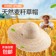 草帽 大帽檐夏季防曬遮陽(yáng)種田帽子工地農民男女沙灘編手工織帽 優(yōu)質(zhì)麥稈帽 優(yōu)質(zhì)麥稈帽【38cm】