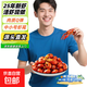 【京喜自營(yíng)】麻辣小龍蝦尾加熱即食龍蝦球25年小龍蝦現做 蘇超 250g*10盒