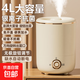 加濕器家用空氣加濕器凈化器香薰機空調房加濕器噴霧器大容量學(xué)生宿舍補水孕婦嬰兒臥室女生禮物 客廳加濕器 | 4L大容量+銀離子抑菌+上加水設計