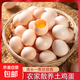 新鮮林下散養(yǎng)土雞蛋40g-50g生鮮超市即時(shí)營(yíng)養(yǎng)早餐溏心蛋 10枚