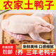【自營(yíng)】湖泊放養(yǎng)3年冷水鴨現(xiàn)殺老鴨子麻鴨黃鴨土鴨散養(yǎng)農(nóng)家鴨子 5-6斤/只 老鴨子（無內(nèi)臟）