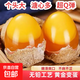 農家無(wú)鉛雞蛋皮蛋黃金變蛋50-55g/枚早餐生鮮禮物食品溏心黃皮蛋 40