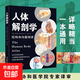 人體解剖學(xué) 彩色結(jié)構(gòu)和功能圖譜解刨實(shí)用教材醫(yī)學(xué)類系統(tǒng)系解構(gòu)造專業(yè)圖鑒骨骼肌肉體表3d奈特人體解刨圖了解人體基礎(chǔ)醫(yī)學(xué)通用教材 人體解剖學(xué)