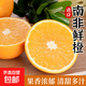 南非進(jìn)口鮮橙 橙子當季現摘新鮮水果手剝甜果凍橙大果整箱包郵 【2個(gè)】南非鮮橙 單果220g+