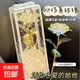 新款七夕炫光玫瑰花束仿真永生花裝飾擺件拍照道具教師節生日禮物送女友送老師 七彩炫光玫瑰花【一個(gè)】顏色隨機