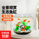 高清魚缸 生態(tài)缸桌面溪流缸迷你金魚缸小型水族箱養(yǎng)魚龜缸PET 中號魚缸【超清8K高透/摔不碎/久用不糊】