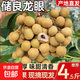 廣東正宗儲良龍眼老樹果現(xiàn)摘當(dāng)季生鮮水果桂圓源頭產(chǎn)地直發(fā)包郵 儲良龍眼【凈重4.5斤】
