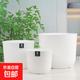 雅典豎紋花盆加厚家用大號樹(shù)脂花盆塑料盆花卉多肉綠植盆栽加侖盆 豎紋【口22高18】2個(gè)盆帶托盤(pán)