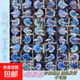 【泰國進口精品斗魚】觀賞魚苗金魚熱帶好養(yǎng)耐活體淡水半月婚紗魚 SS級*藍色公下單送魚食