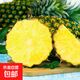 海南金鉆鳳梨新鮮水果生鮮手撕鳳梨臺農(nóng)17號青皮黑金鳳梨 非菠蘿 【小果】1粒：嘗鮮裝 單果400g+