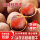 正宗福建桂圓干12A特級特大無(wú)添加帶殼龍眼肉干蜜餞果干 真12A桂圓干2斤【直徑27-28MM】